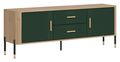TV staliukas Dante DT01 su žaliais fasadais
