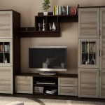 Tamsus sonomos ąžuolas sonomos ąžuolas