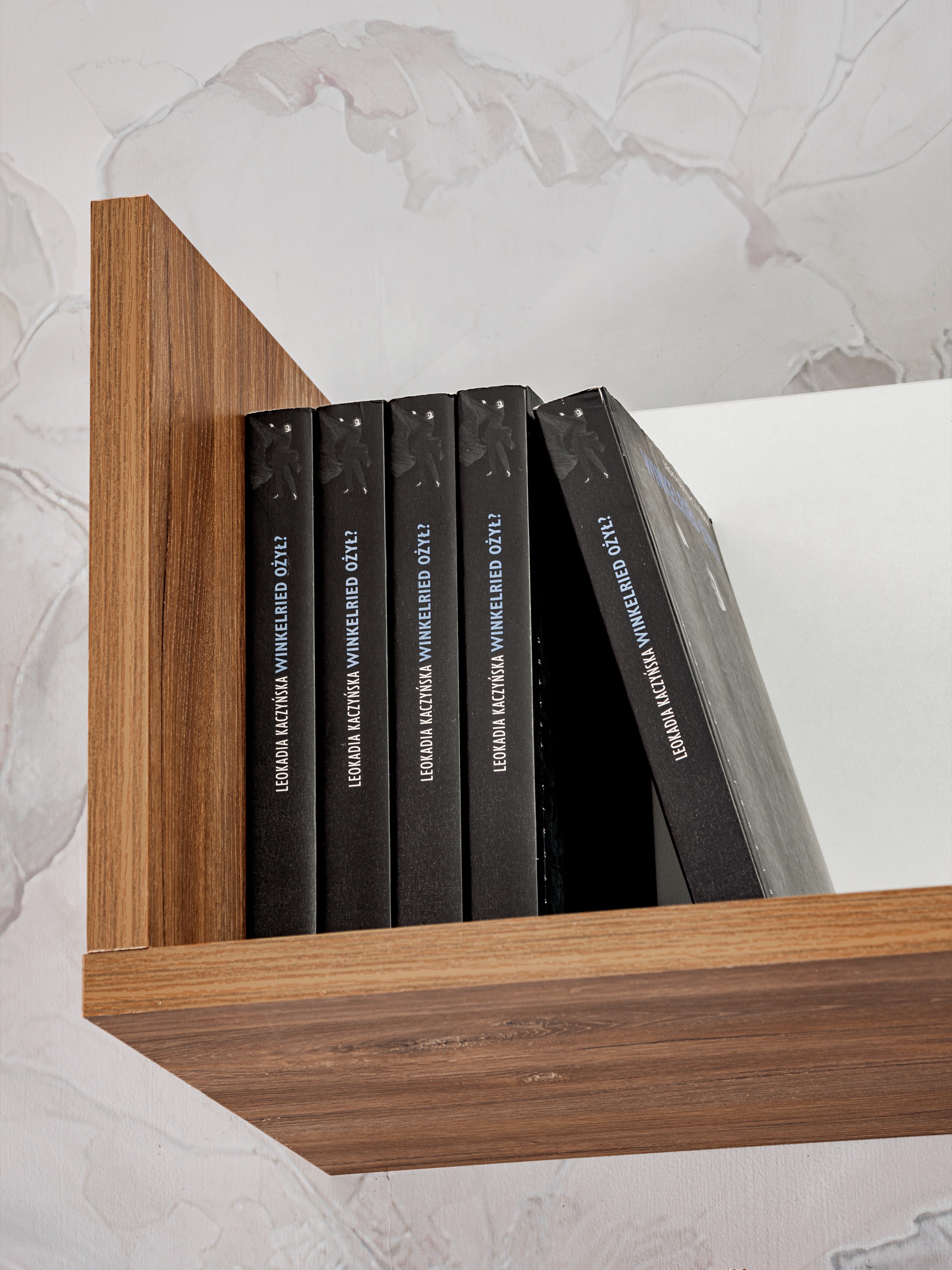 Sekcija Dallas E su elektriniu židiniu - Image 6