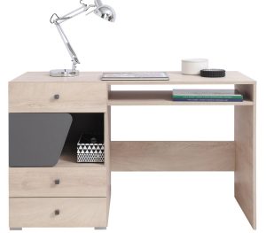 Darbo stalas Delta DL9