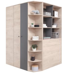 Kampinė spinta Delta DL1