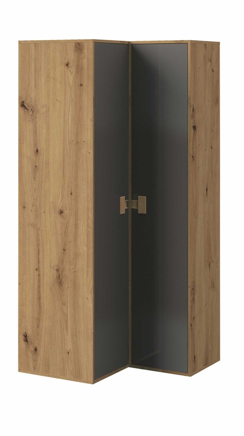 Artisan ąžuolas   pilka blizgi