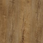 Tamsus Lefkas ąžuolas