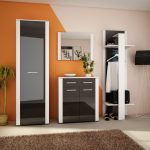 Balta   juoda blizgi