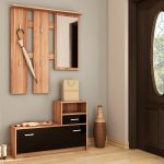 Slyva   juoda blizgi