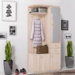 Sonomos ąžuolas (dešinė)