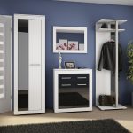 Balta   juoda blizgi