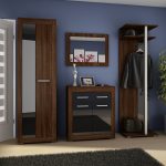 Sonomos tamsi   juoda blizgi