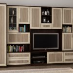 Sonomos tamsi sonomos triufelis