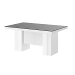 Juoda blizgi   balta blizgi