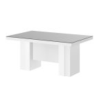 Pilka blizgi   balta blizgi