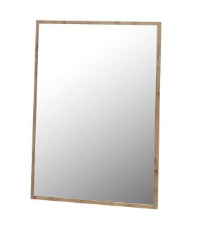 Veidrodis Newada NW18