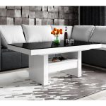 Balta blizgi   juoda blizgi